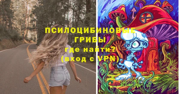 мет Протвино