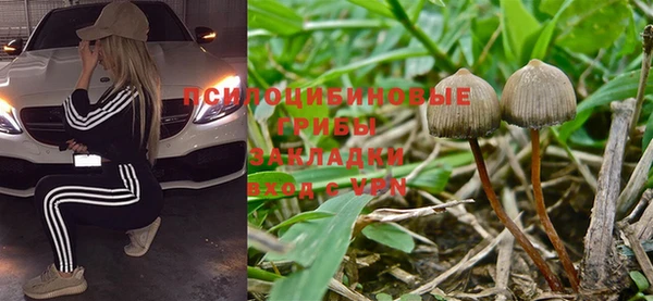 винт Пролетарск