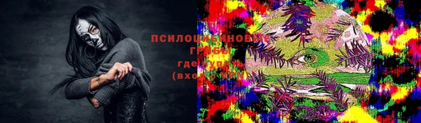 apvp Рославль