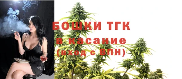 мет Протвино