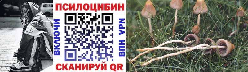 Купить закладки Тосно Галлюциногенные грибы Magic Shrooms